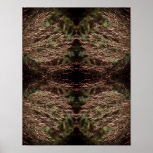 Feathery Dried Grasses Close Up Abstract Poster