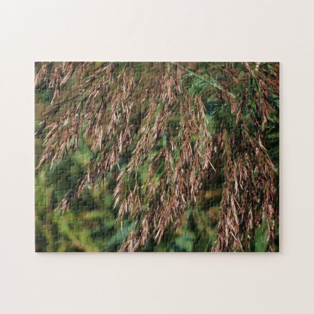 Feathery Dried Grasses Close Up Nature  Jigsaw Puzzle (Horizontal)