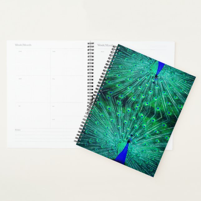 featuring the beautiful green, blue and turquoise planner (Display)