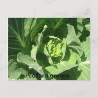 feb 28 193, collard greens