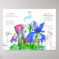February Birthday Iris Birth Month Flower Violets