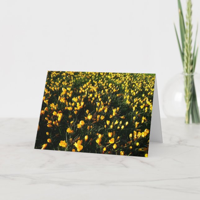February Crocuses Card (Front)