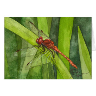 February Dragonfly