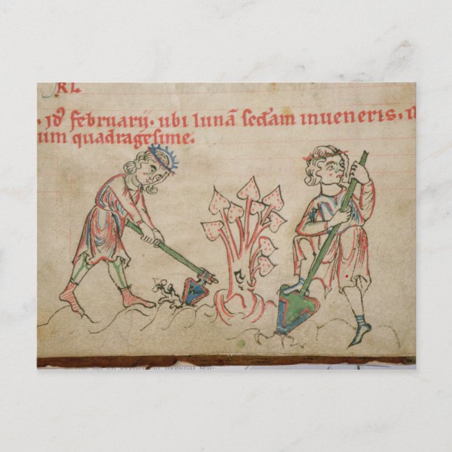 February: hoeing postcard (Front)