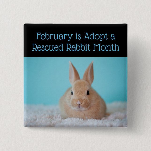 February is Adopt a Rescued Rabbit Month Button (Front)