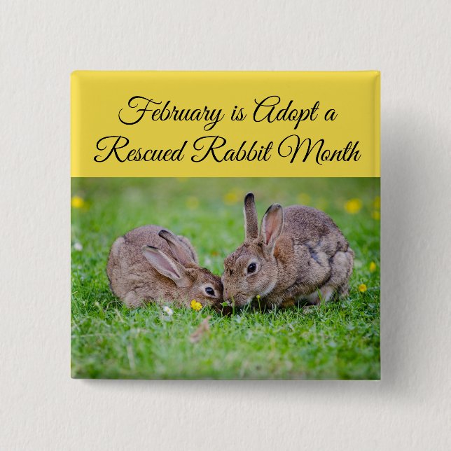 February is Adopt a Rescued Rabbit Month Button (Front)
