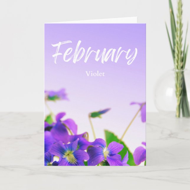 February Purple Violet Birth Month Flower Birthday Card (Front)