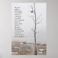 February Robin Nature Poster with Poem