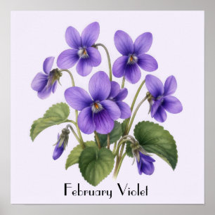 February Violet Flowers Poster