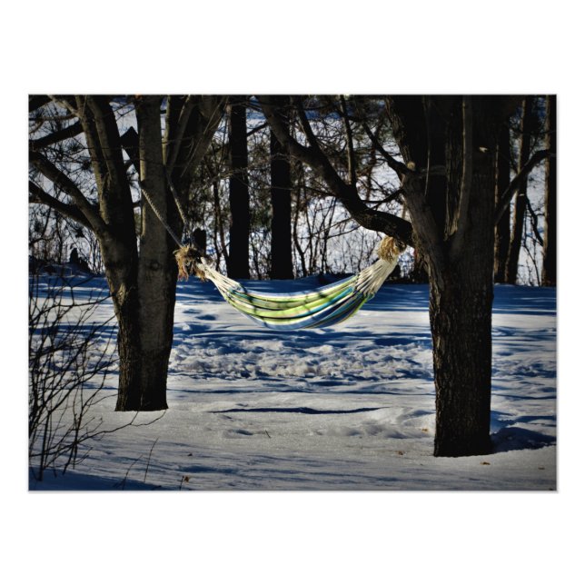 "February's Rest" Photo Print (Front)