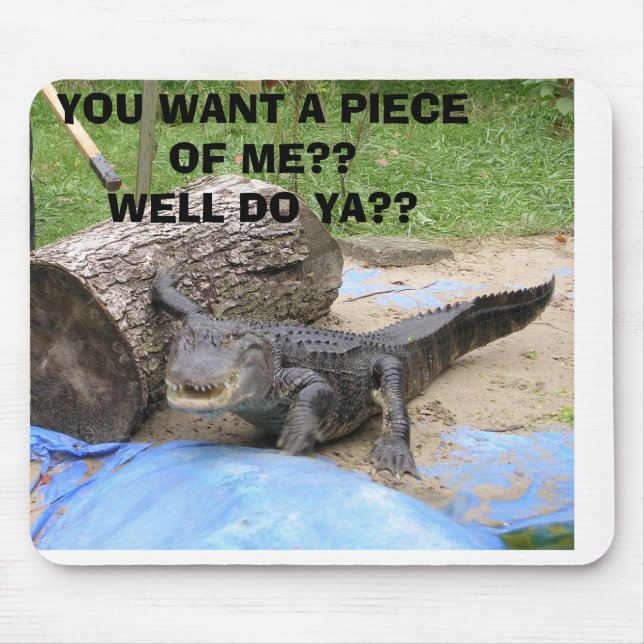 feddings 005, YOU WANT A PIECE OF ME??WELL DO YA?? Mouse Pad (Front)