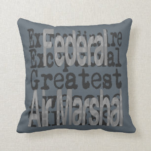 Federal Air Marshal Extraordinaire Cushion
