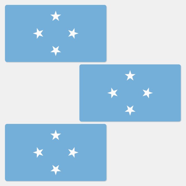 Federated States of Micronesia Flag (Group)