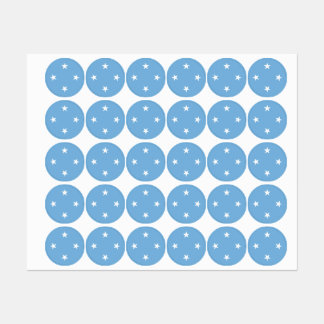 Federated States of Micronesia flag