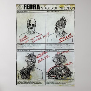 Fedra Stages of infection Poster