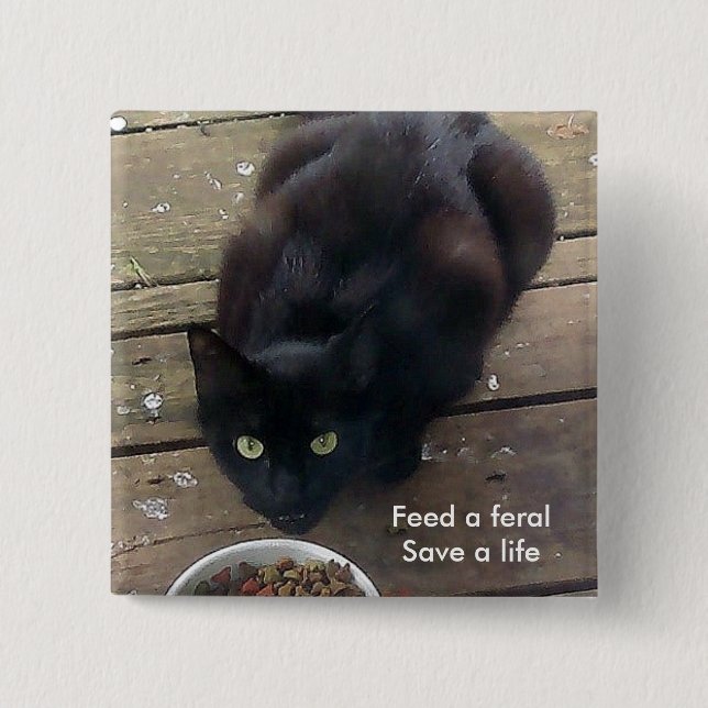 "Feed a Feral, Save a Life" feral cat button (Front)