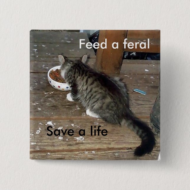 "Feed a Feral, Save a Life" feral kitten button (Front)