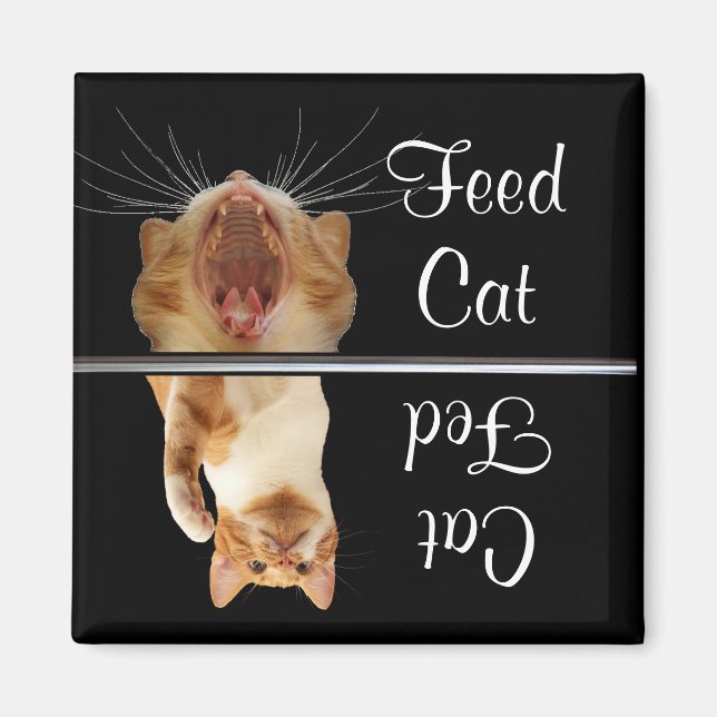 Feed Fed Cat Magnet Fun Cute (Front)