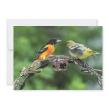 Feed Me - Flat Greeting Card