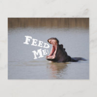 Feed Me! Funny Hippo