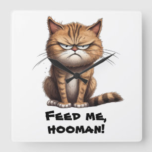 Feed Me, Hooman! Funny Square Wall Clock