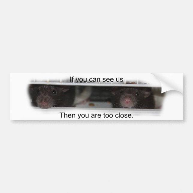 Feed Me Rattie Bumper Sticker (Front)