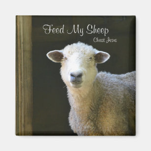 Feed My Sheep Magnet