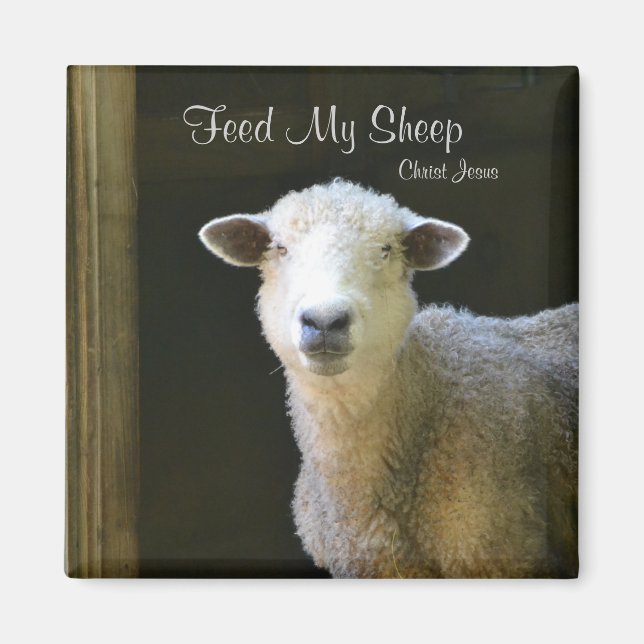 Feed My Sheep Magnet (Front)