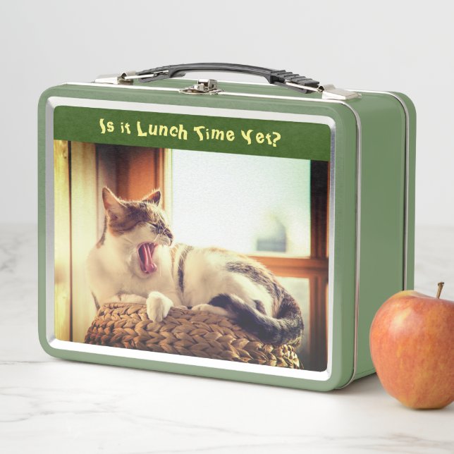 Feed the Cat Funny Metal Lunch Box (In Situ)