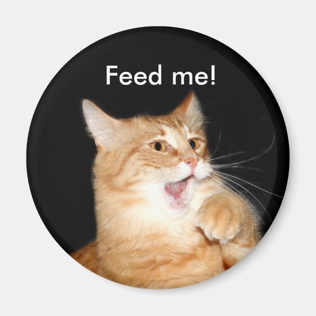 Feed the cat magnet (Front)