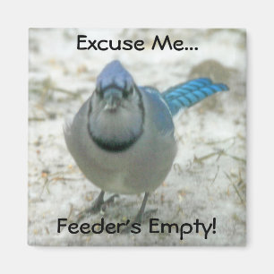 Feeder's Empty Magnet