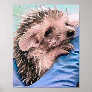 feeding a tiny and orphaned baby hedgehog poster