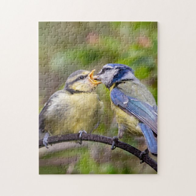 Feeding fledgling jigsaw puzzle (Vertical)
