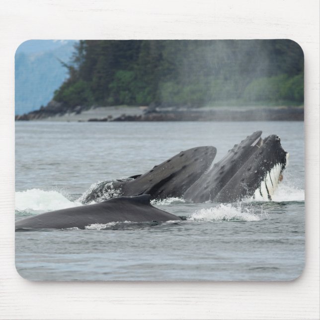Feeding Humpback Whales Mouse Pad (Front)