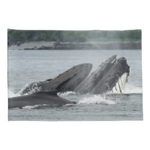 Feeding Humpback Whales Pillowcase