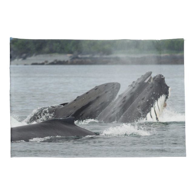 Feeding Humpback Whales Pillowcase (Back-Right)