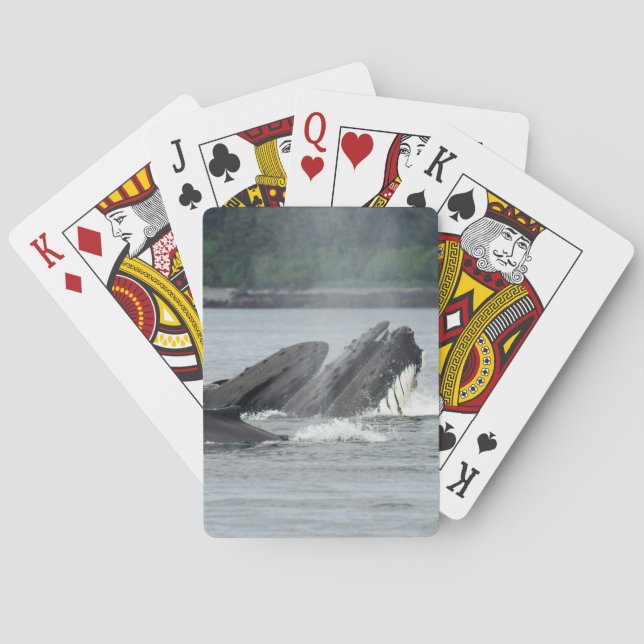 Feeding Humpback Whales Playing Cards (Back)