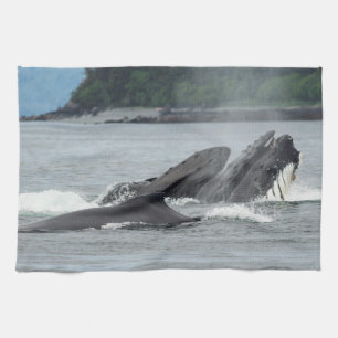 Feeding Humpback Whales Tea Towel