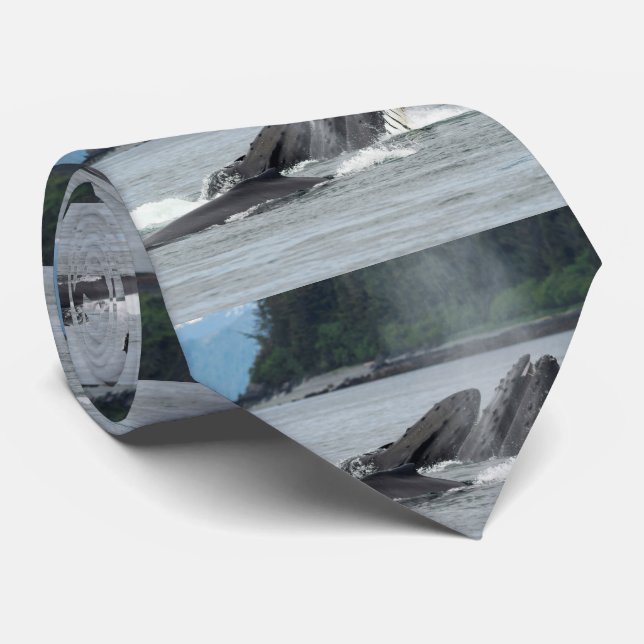 Feeding Humpback Whales Tie (Rolled)