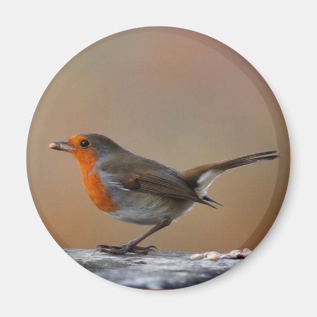 Feeding Robin Magnet (Front)