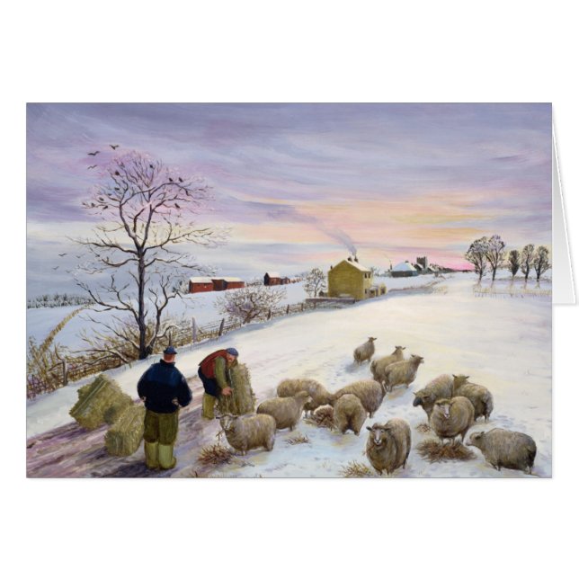 Feeding sheep in winter (Front Horizontal)