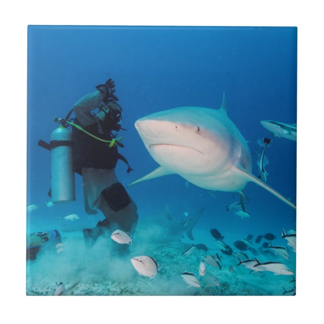 Feeding The Bull Ceramic Tile (Front)