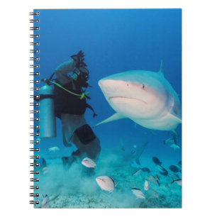 Feeding The Bull Notebook