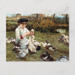 Feeding the Ducks Postcard