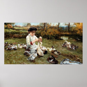 Feeding the Ducks Poster