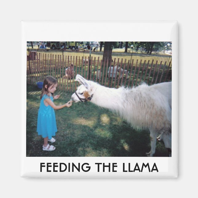 FEEDING THE LLAMA MAGNET (Front)
