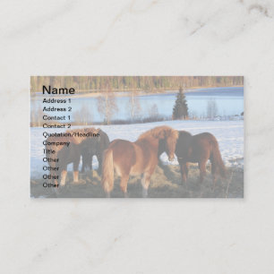 Feeding Time Business Card