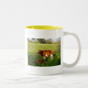 Feeding time for Guernsey cow Two-Tone Coffee Mug