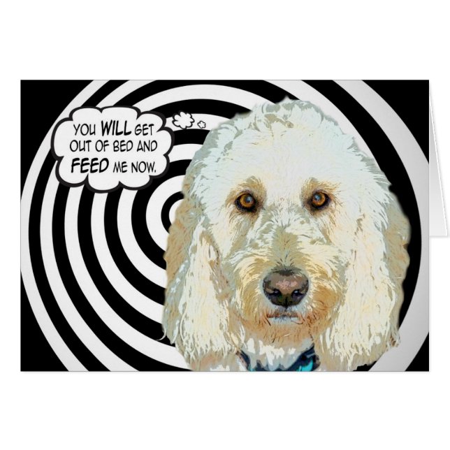 Feeed Meee! (Front Horizontal)