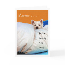 Feel Better, Cosy and Comfy Westie Dog